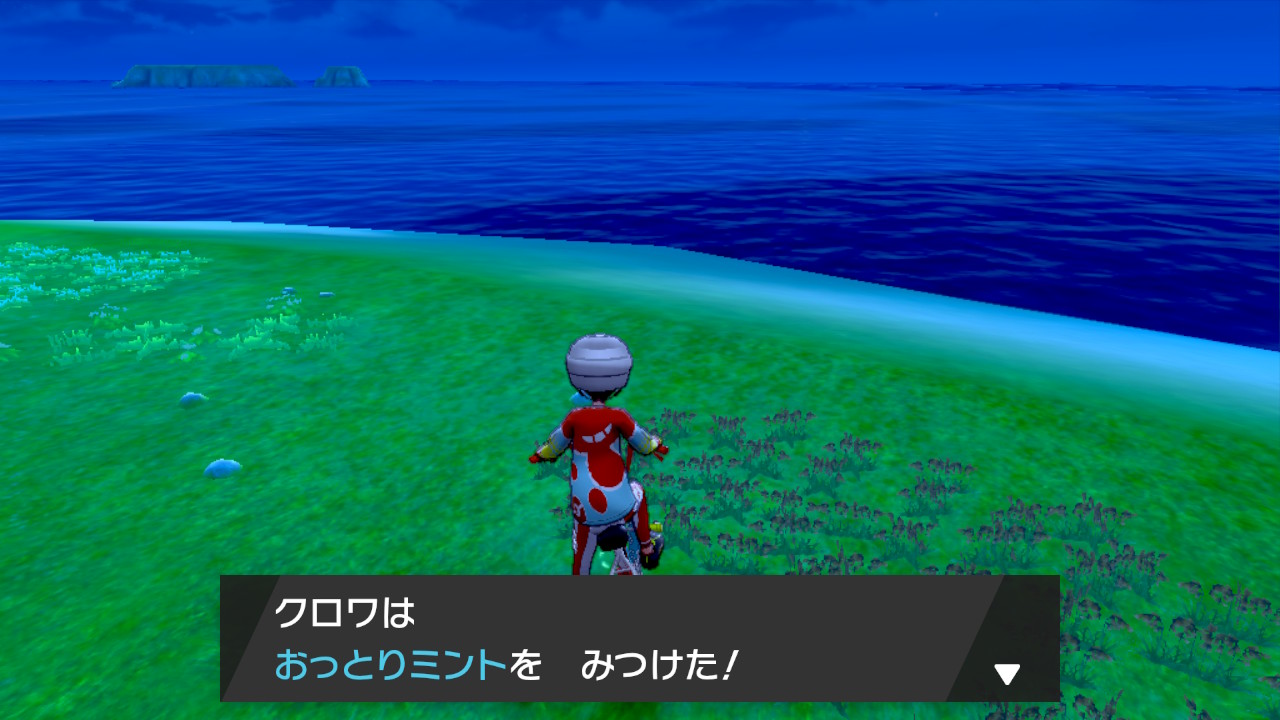 【ポケモン剣盾】厳選・育成環境構築【オシャボ、リボンコンプ】 箱庭的ポケモンブログ